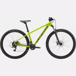 Bicicleta Rockhopper 29 Verde Oliva Satinado/Negro Specialized