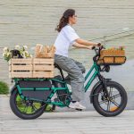 Bicicleta Eléctrica Fiido T2 - Imagen 5