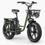 Bicicleta Eléctrica Fiido T1 Pro 923W 150 km
